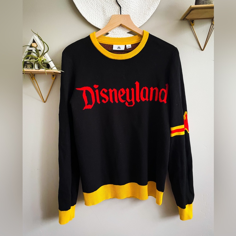 Collegiate style Disneyland sweater in a size Small
